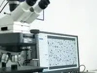 Metallographic analysis