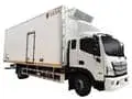 Refrigerated Truck (Diesel, 12T)